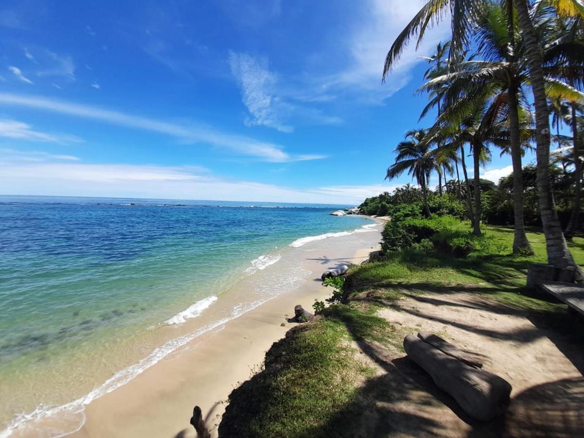 Magic Green Dentro Del Parque Tayrona الزينو المظهر الخارجي الصورة