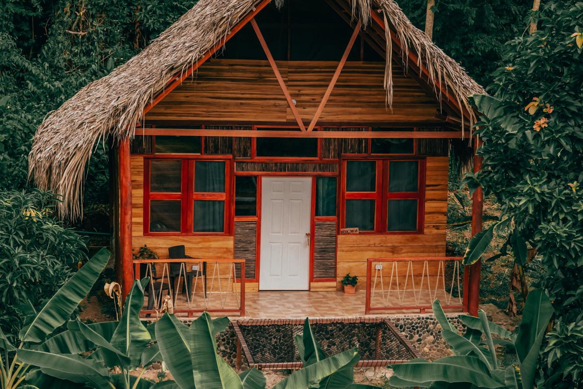 Magic Green Dentro Del Parque Tayrona الزينو المظهر الخارجي الصورة