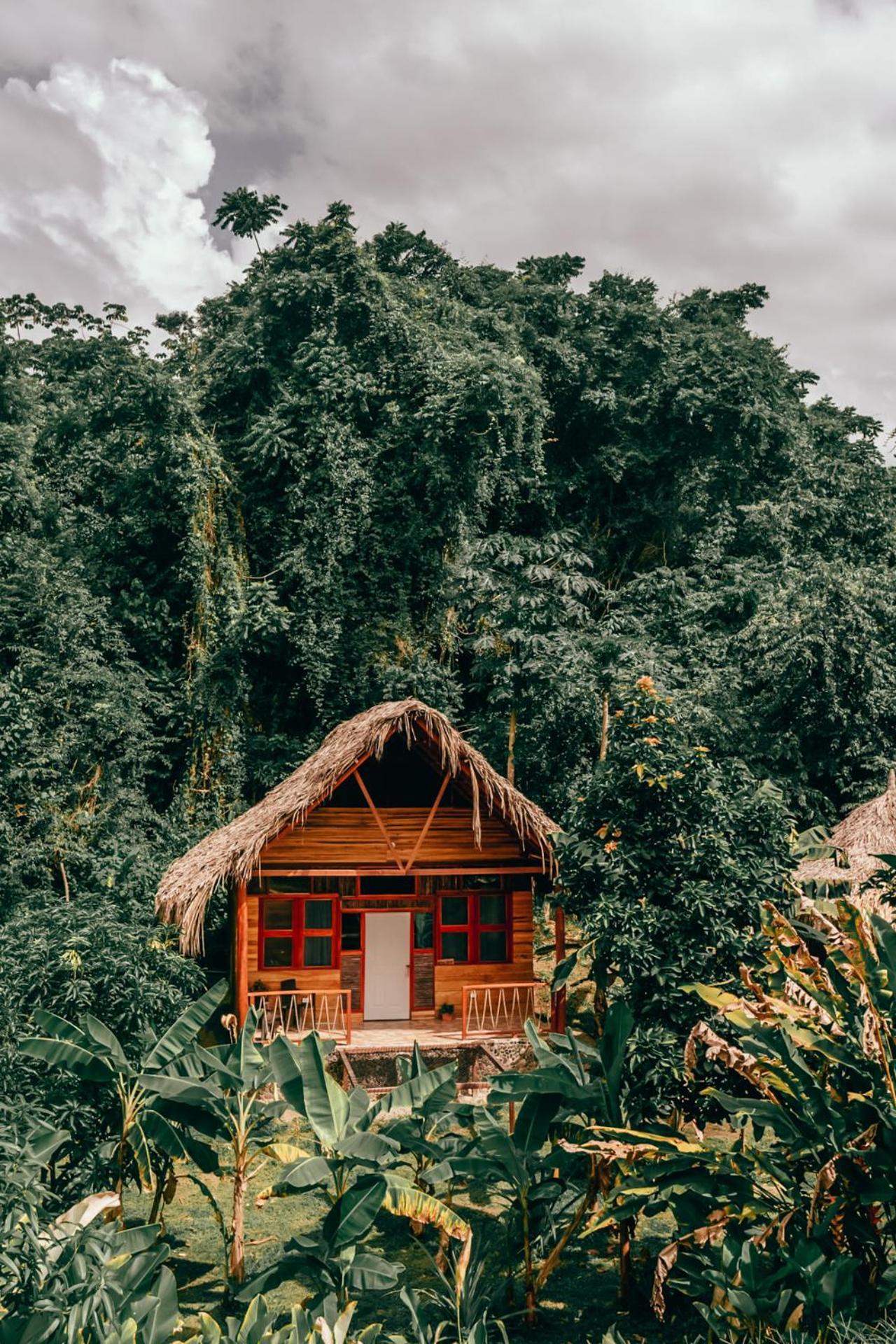 Magic Green Dentro Del Parque Tayrona الزينو المظهر الخارجي الصورة