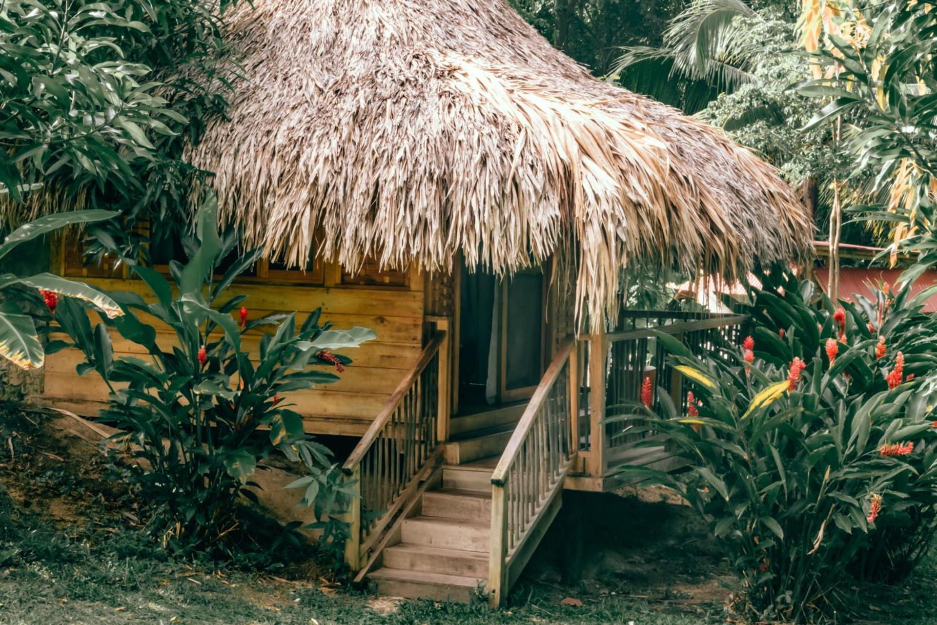 Magic Green Dentro Del Parque Tayrona الزينو المظهر الخارجي الصورة