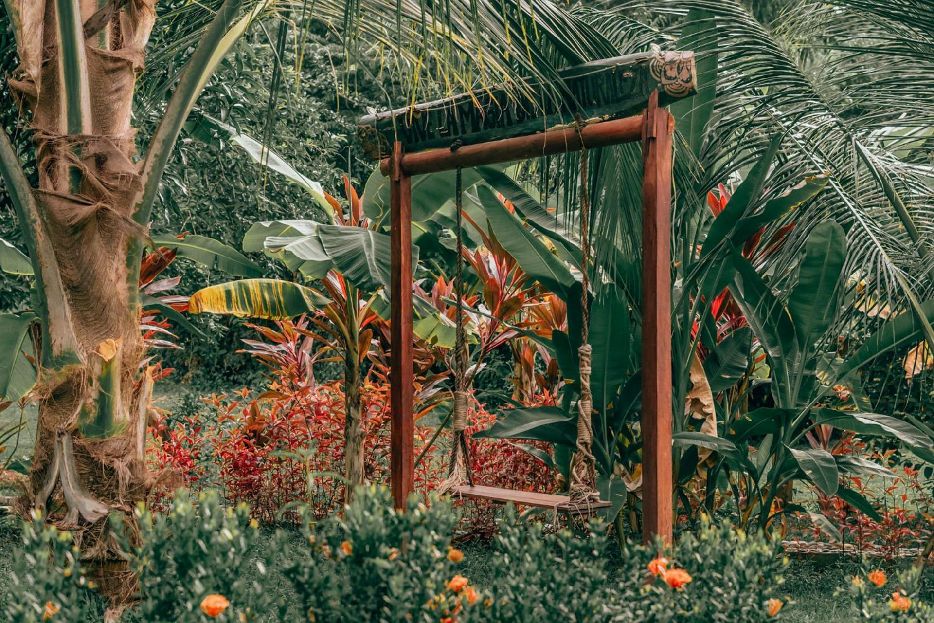 Magic Green Dentro Del Parque Tayrona الزينو المظهر الخارجي الصورة