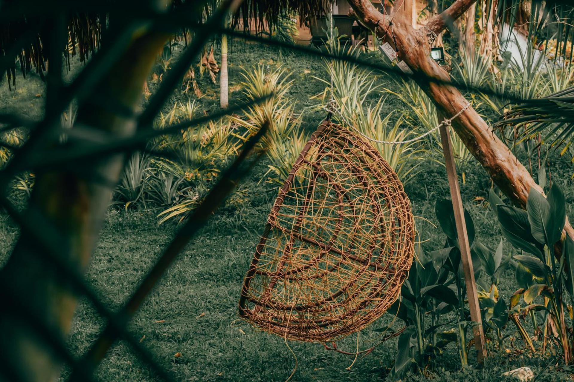 Magic Green Dentro Del Parque Tayrona الزينو المظهر الخارجي الصورة
