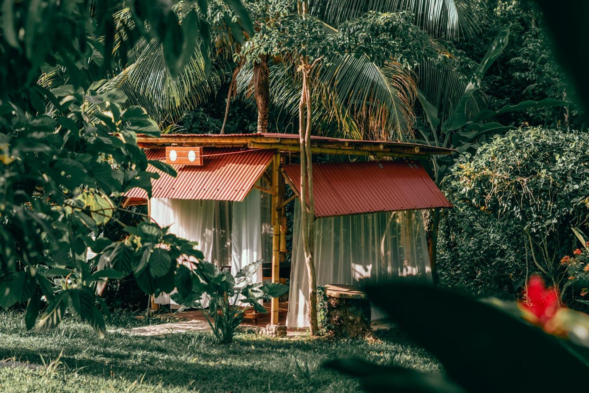 Magic Green Dentro Del Parque Tayrona الزينو المظهر الخارجي الصورة