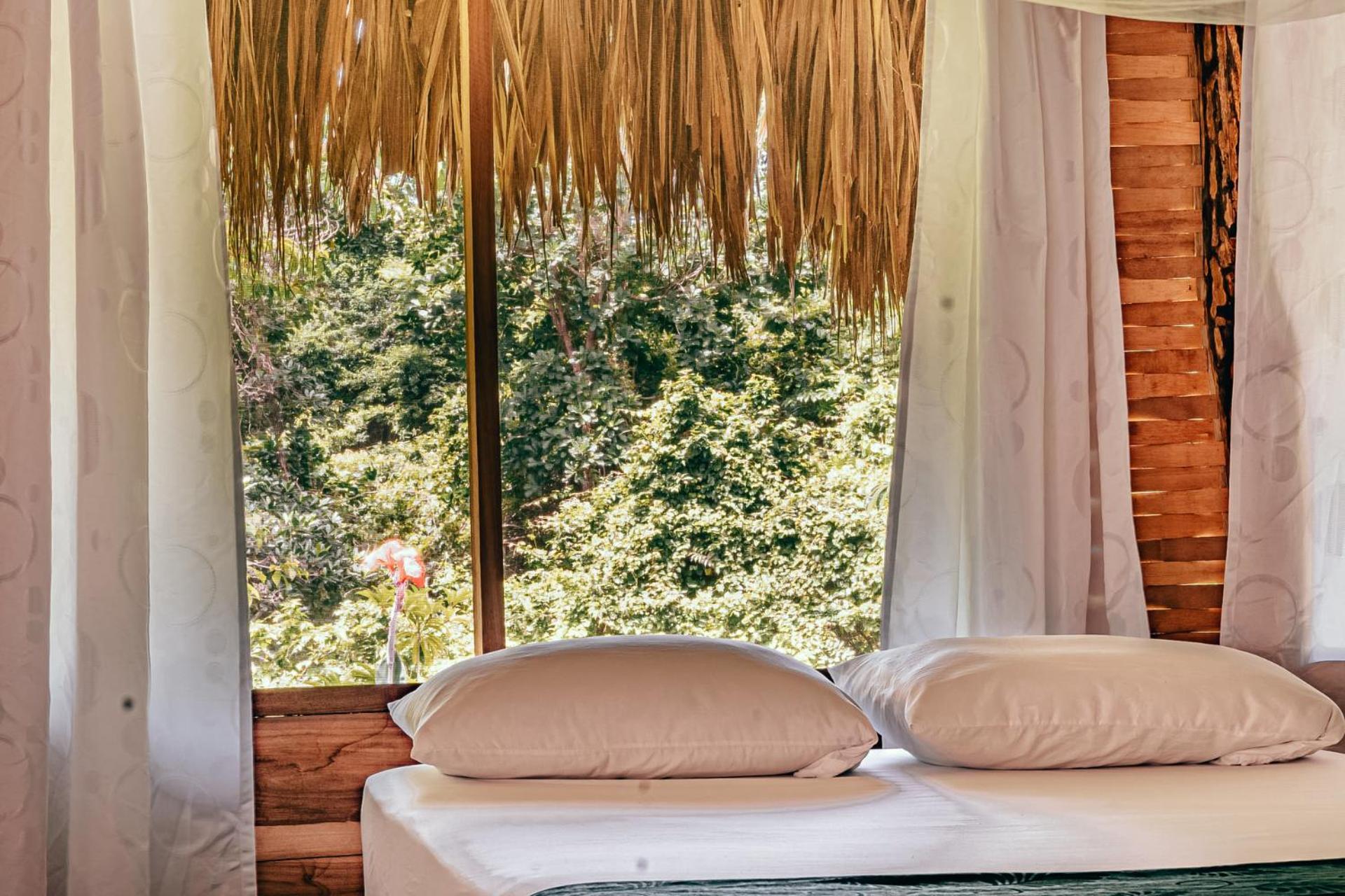 Magic Green Dentro Del Parque Tayrona الزينو المظهر الخارجي الصورة