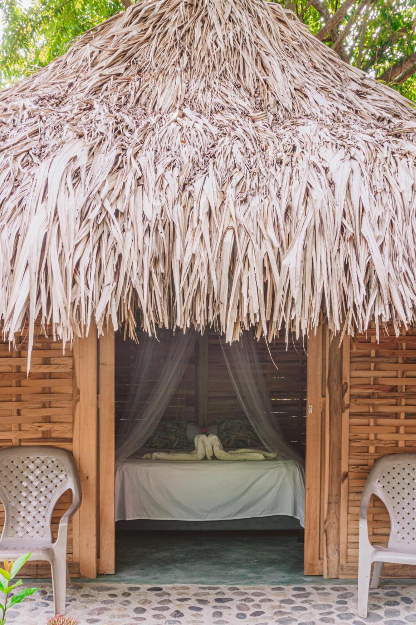 Magic Green Dentro Del Parque Tayrona الزينو المظهر الخارجي الصورة